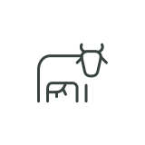 Cow icon