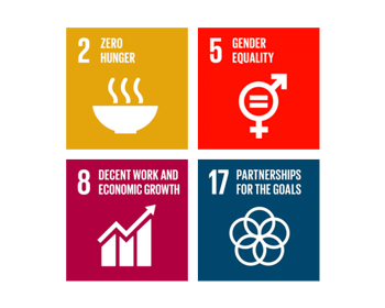 UN global goals of sustainable development diagram