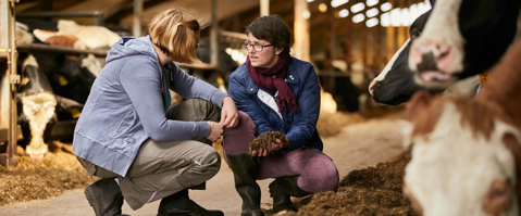 Farmers talking at work