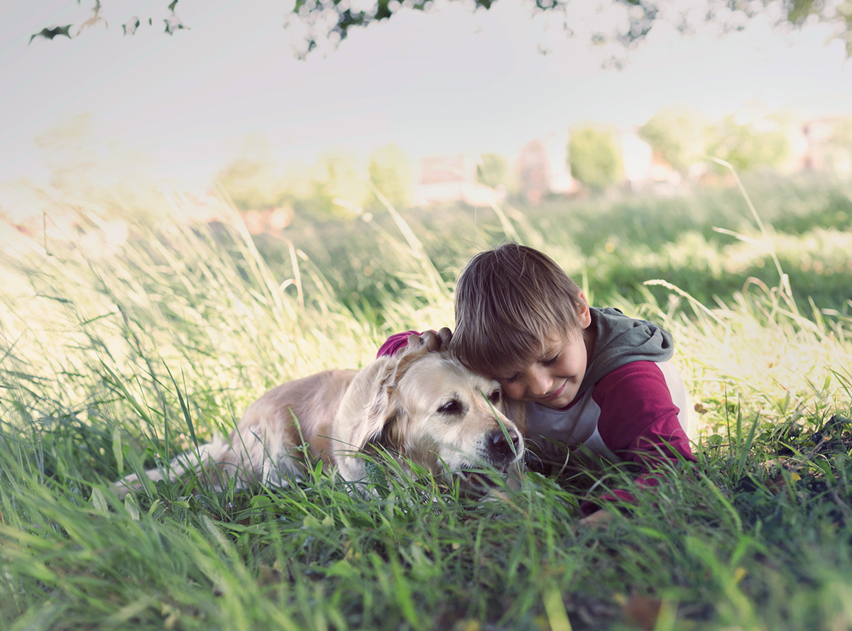 A boy hugging his dog both lying in tall grass